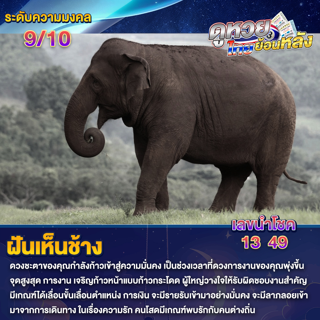 ฝันเห็นช้าง