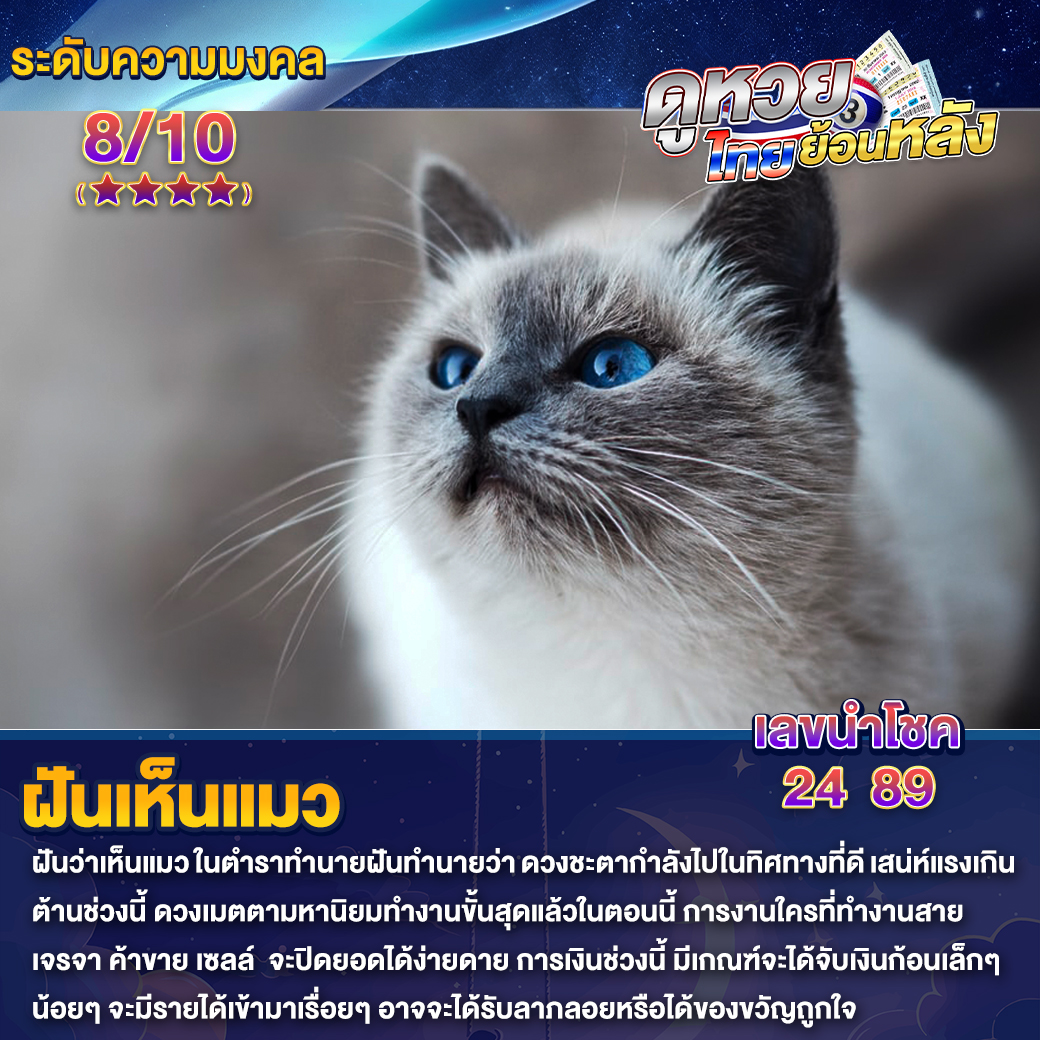 ฝันเห็นแมว