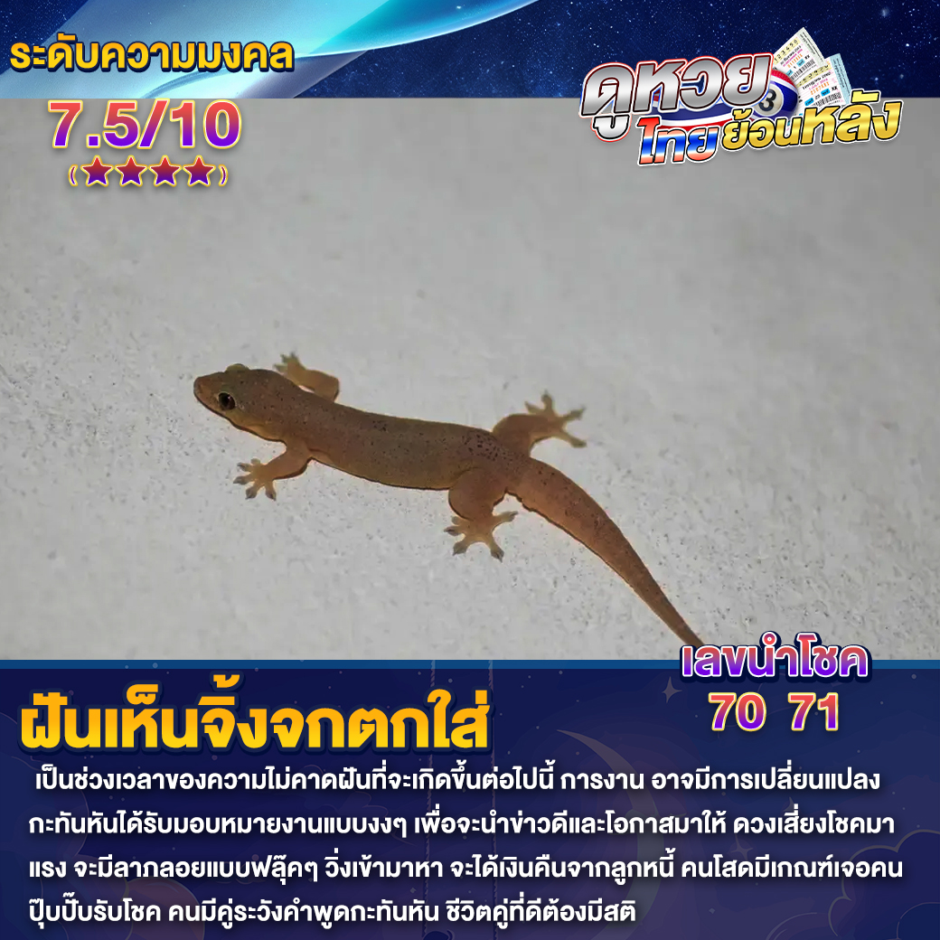 ฝันเห็นจิ้งจกตกใส่