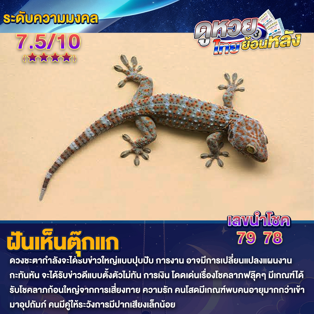 ฝันเห็นตุ๊กแก